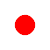 Live Icon